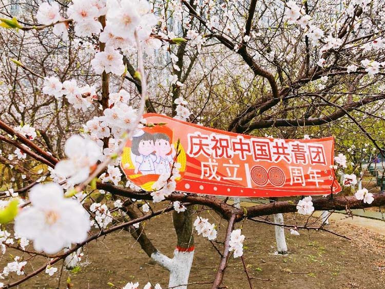图片9.jpg
